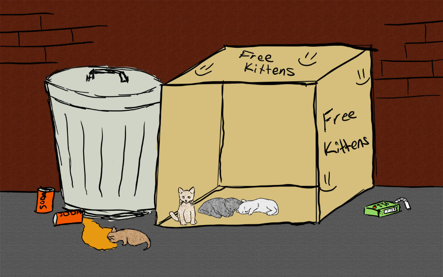 Free Kittens